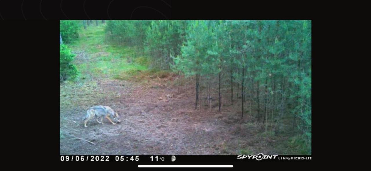 Jagd-Angler-Suite-04-Im-Wald-Am-See Kyritz Exteriér fotografie